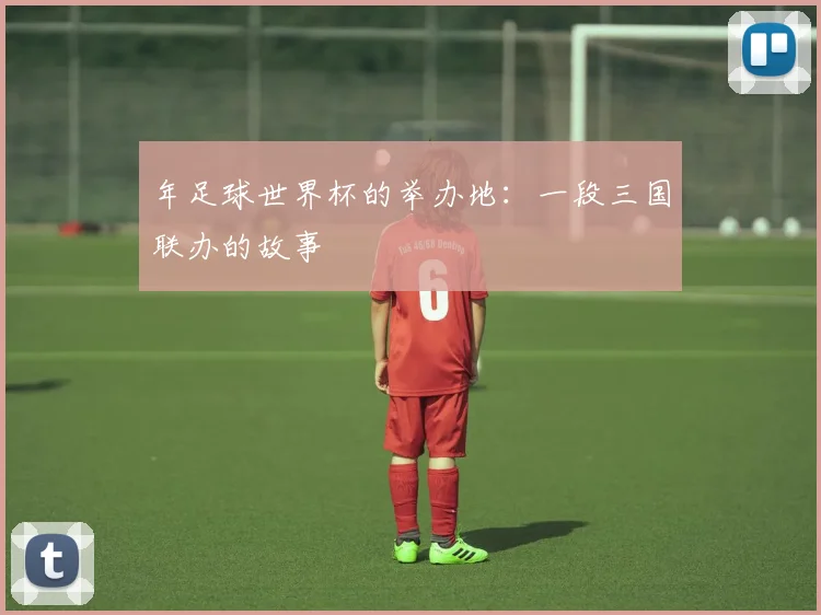 年足球世界杯的举办地:一段三国联办的故事
