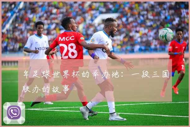 年足球世界杯的举办地:一段三国联办的故事